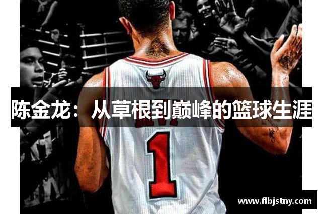 陈金龙：从草根到巅峰的篮球生涯